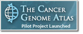 The Cancer Genome Atlas Logo