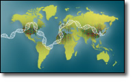 DNA helix on a world map