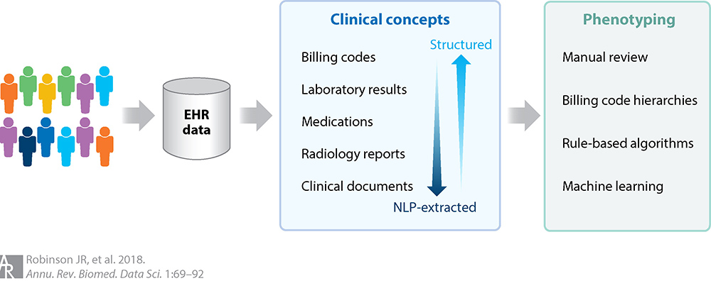 EHR - Clinical Concepts - Phenotyping diagram