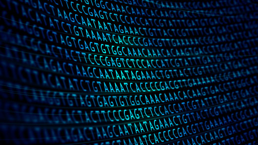 Genetics vs. Genomics Fact Sheet | NHGRI