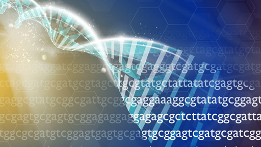 simple protein synthesis animation