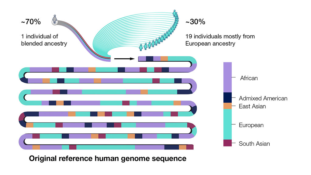 Original Reference Genome Sequence