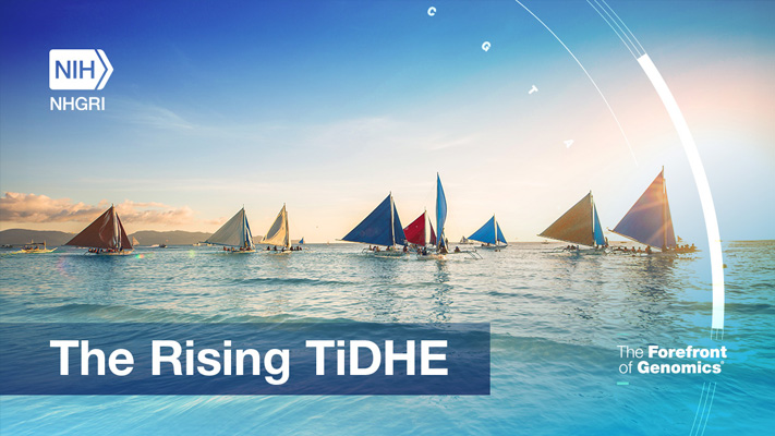 The Rising TiDHE newsletter