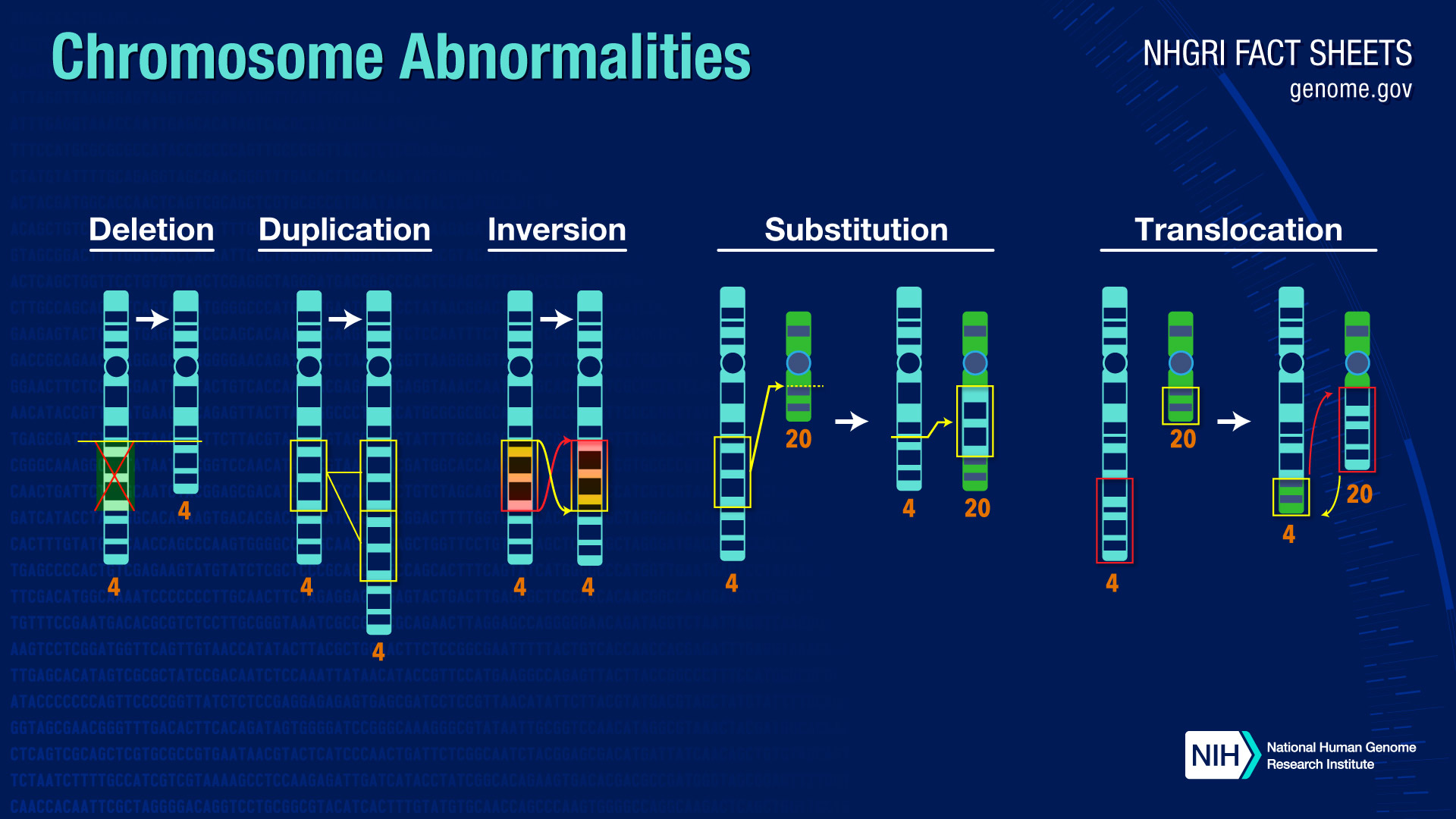 Chromosome Abnormalities Fact Sheet