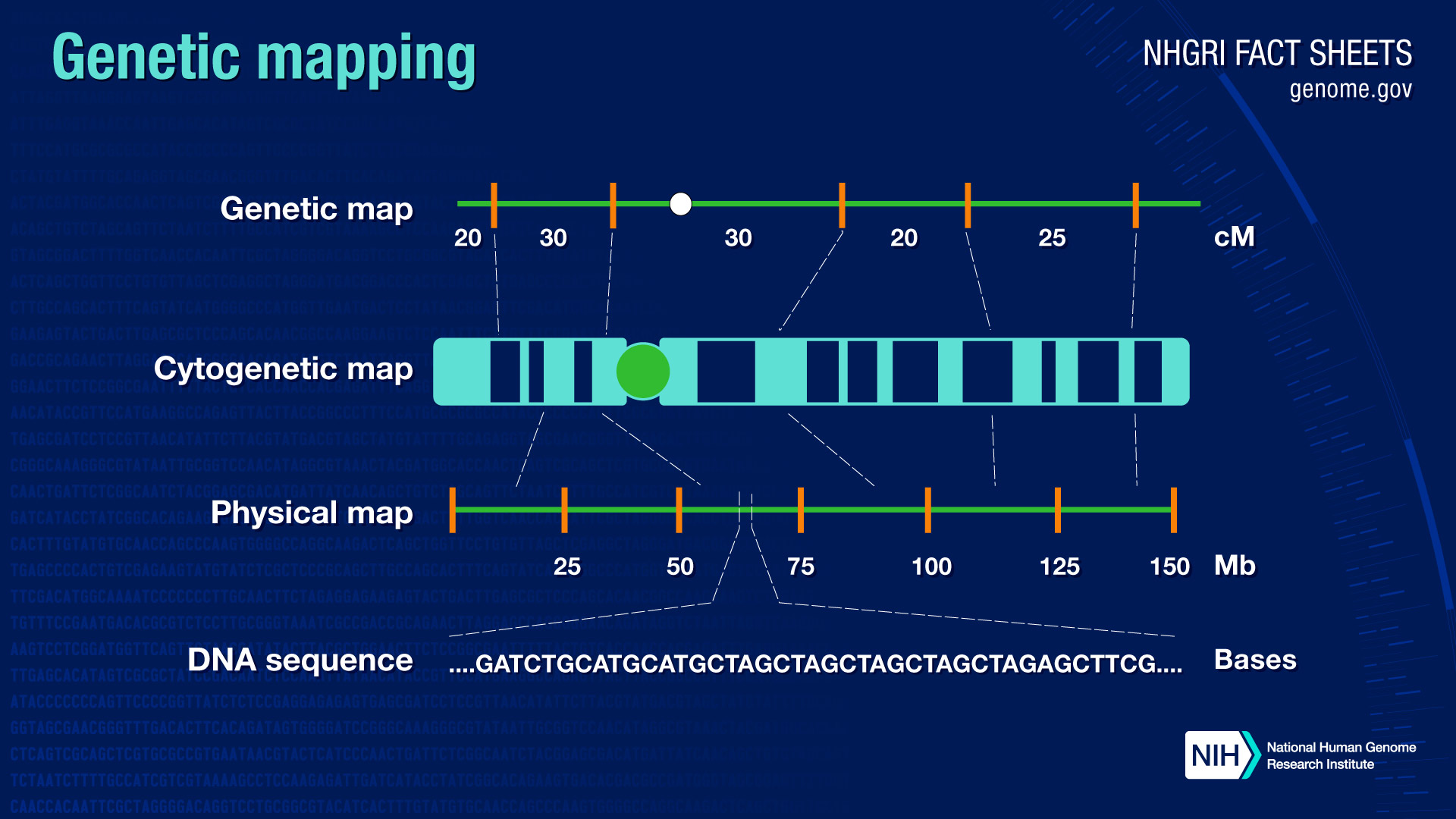when was the human genome mapped