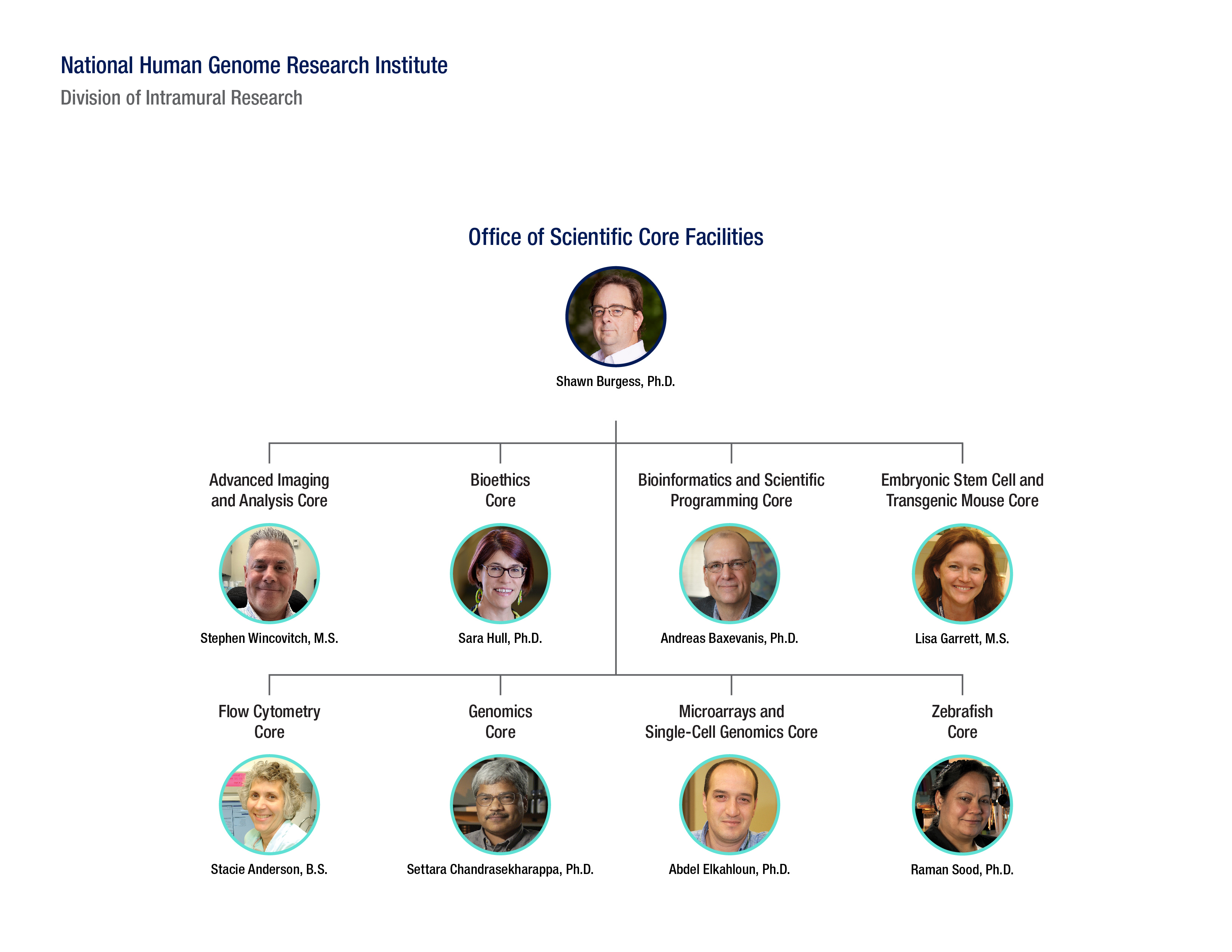 Office of Scientific Core Facilities Org Chart