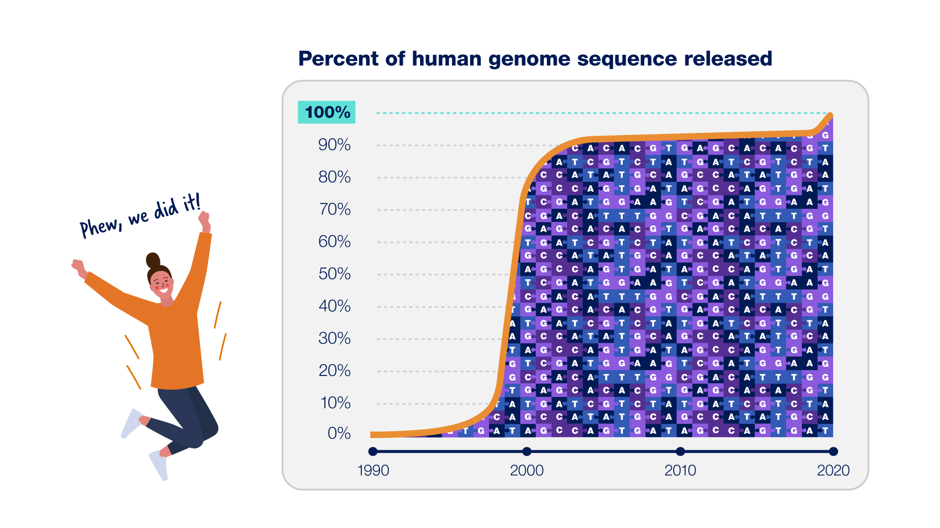 Completing the human genome sequence