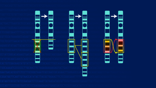 What Is The Most Common Cause Of Chromosomal Abnormalities