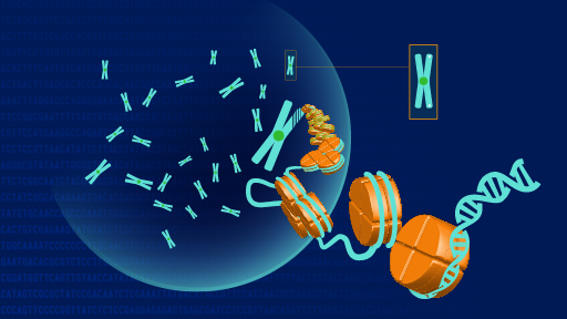 three chromosomes disorder