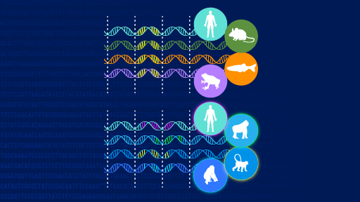 Comparative Genomics