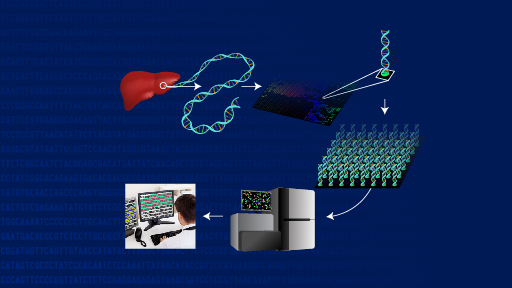 DNA Sequencing