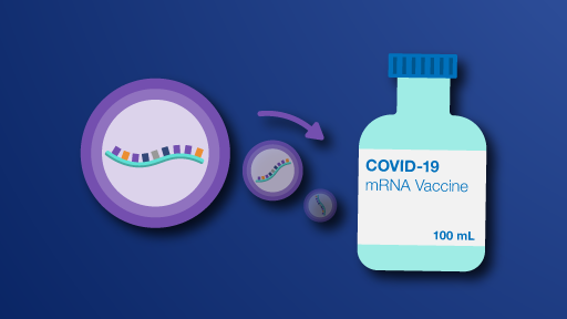 COVID-19 mRNA Vaccine Production