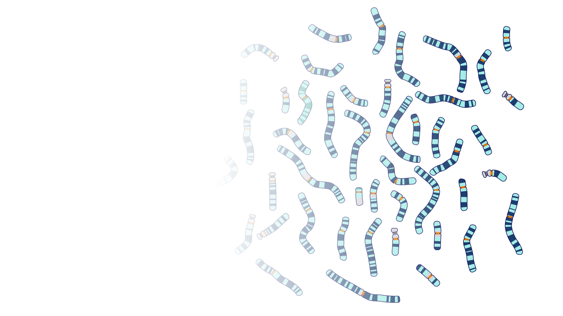 polygenic traits examples in animals