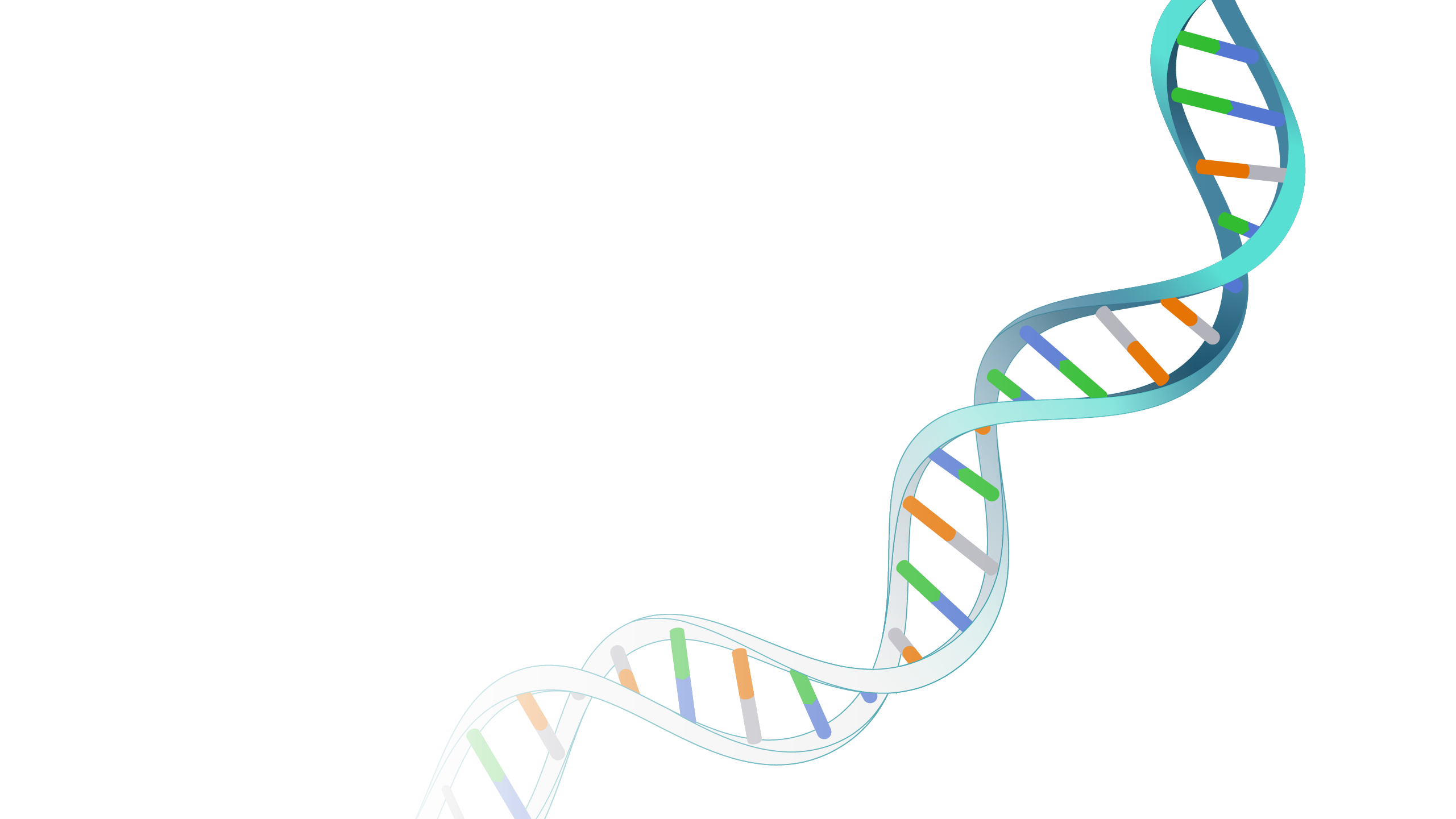Non-Coding DNA
