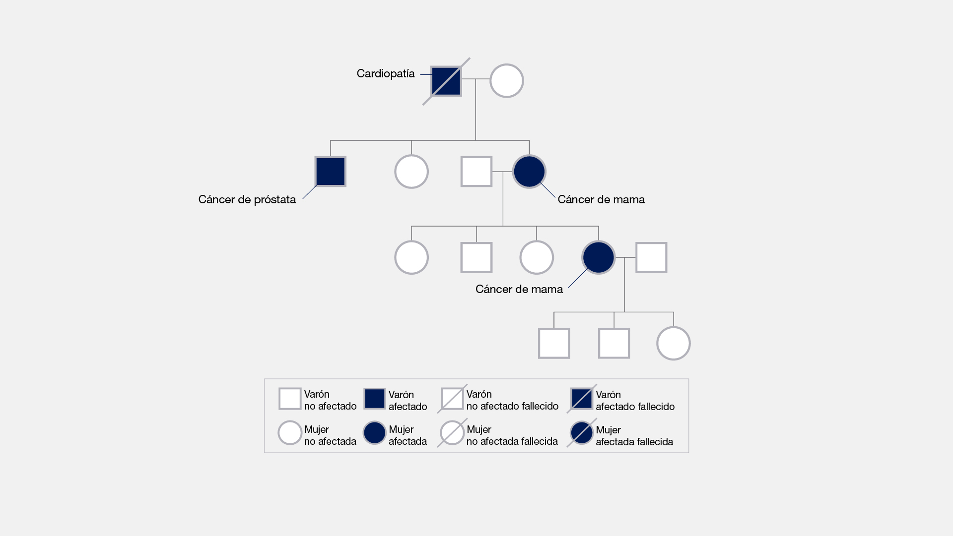 Qué importancia tiene conocer el árbol genealógico de la familia?