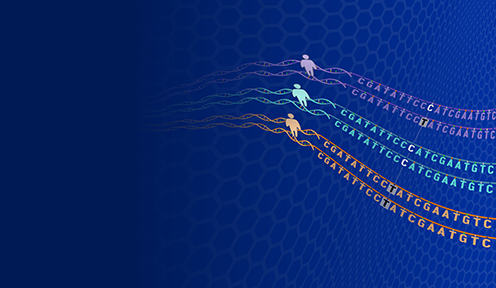 Genomic variation dynamic graphic