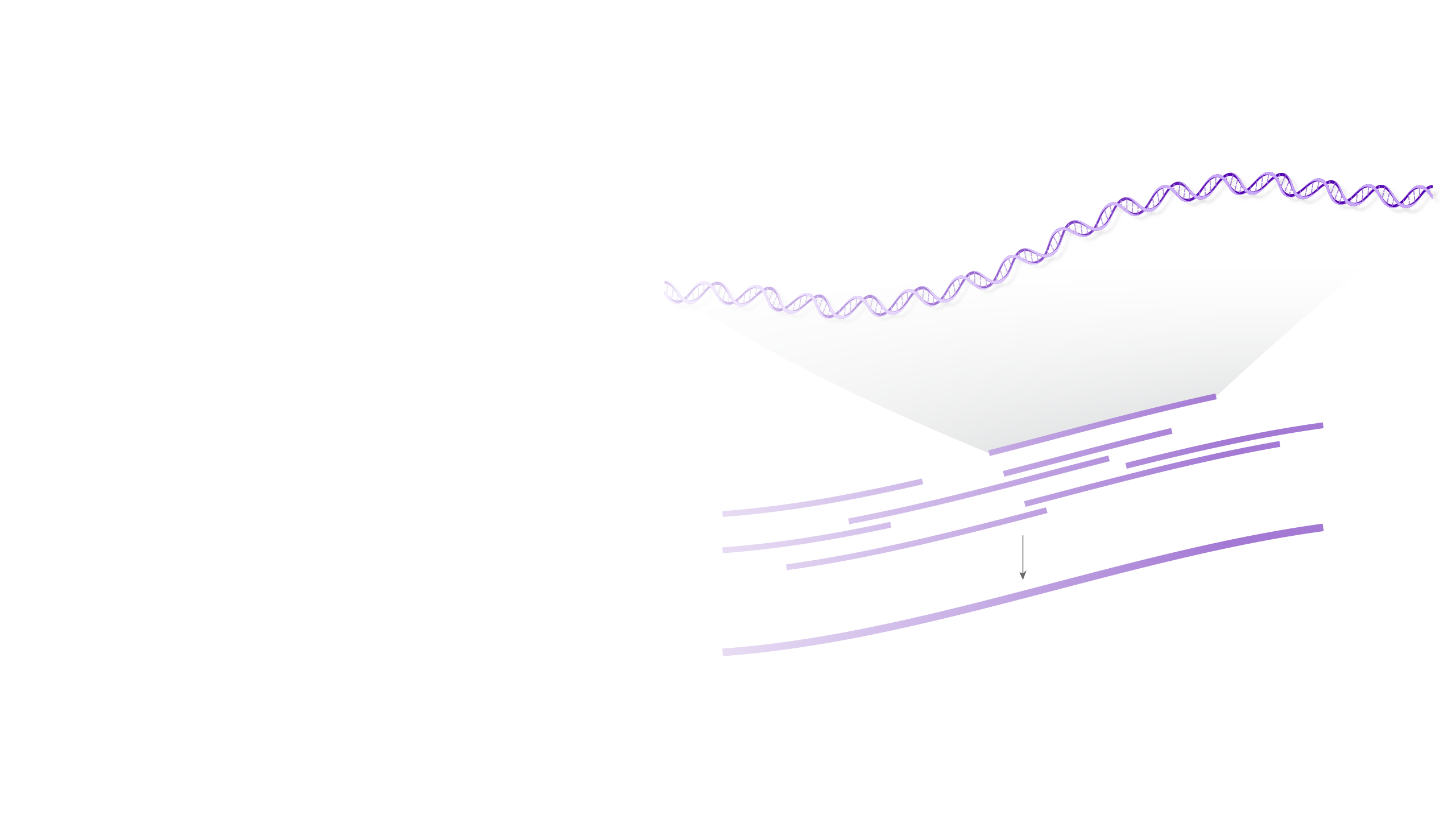 Long-Read DNA Sequencing