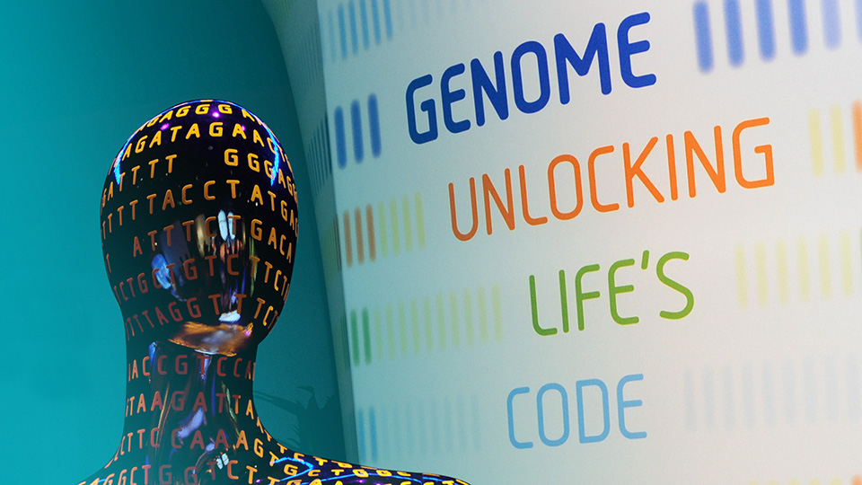 Genome: Unlocking Life's Code