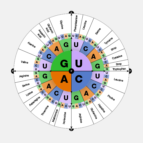 Top 115 Genetic Code Animation Lestwinsonline