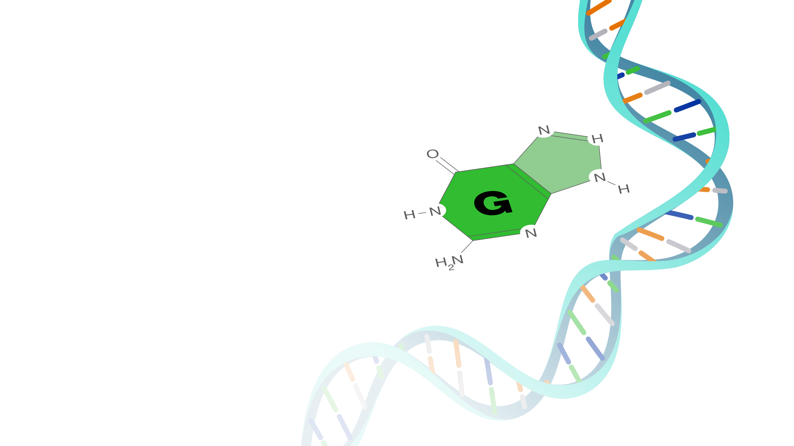 guanine dna