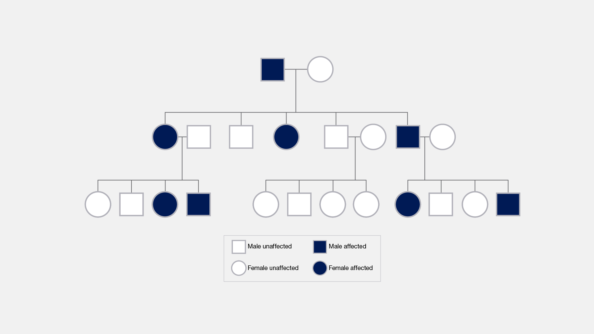 Inheritance - Inheritance