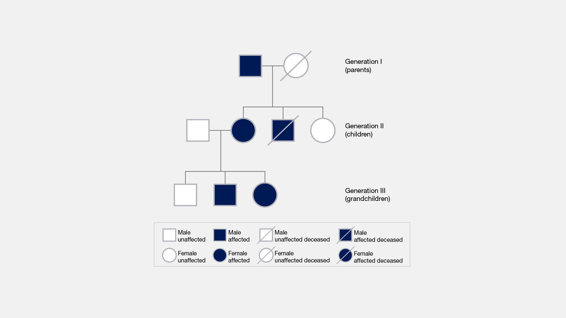 Family Pedigree Chart