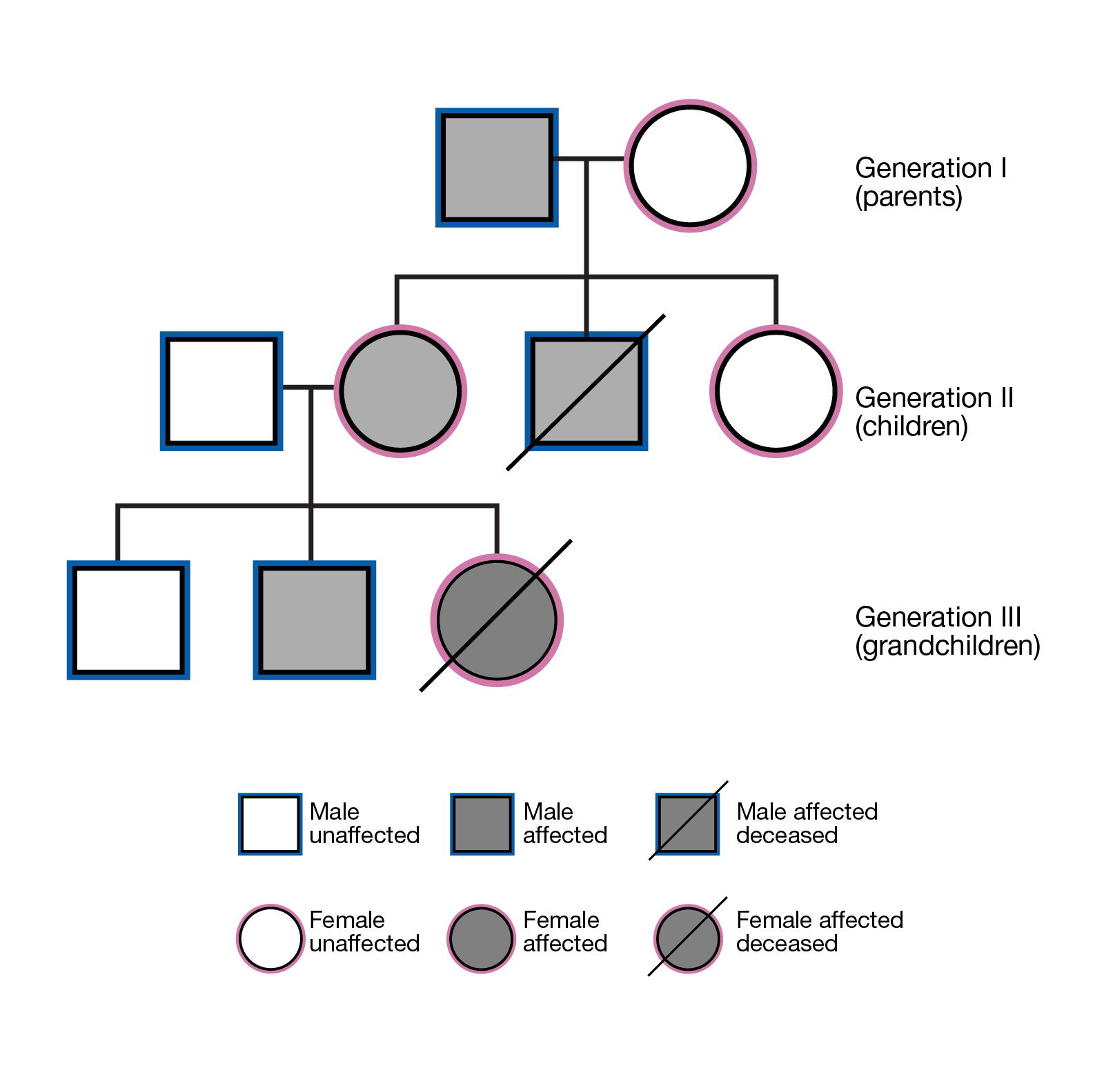 Study The Pedigree Chart Of A Family Showing The Inheritance Images