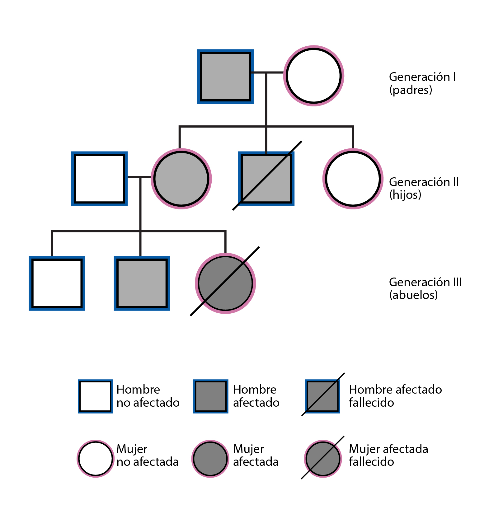 diagrama que muestra el árbol genealógico de tres generaciones